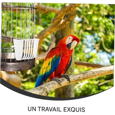 ZooVenture Set de 4 support alimentaire suspendus pour oiseaux