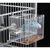 ZooVenture Mangeoire d'alimentation pour oiseaux
