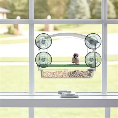 Rocky Nourrisseur pour oiseaux en acrylique