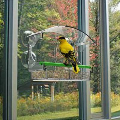 Rocky Nourrisseur pour oiseaux en acrylique