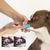 Rocky Kit de brosses à dents pour chiens