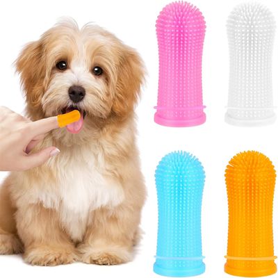 Rocky Kit de brosses à dents pour chiens