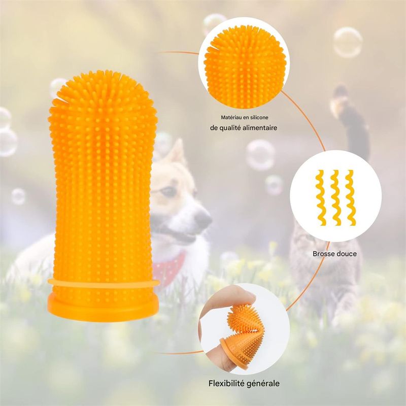 Rocky Kit de brosses à dents pour chiens