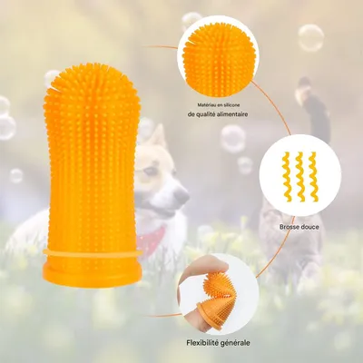 Rocky Kit de brosses à dents pour chiens