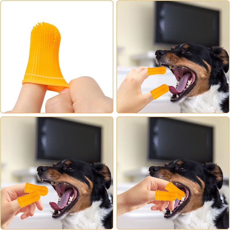Rocky Kit de brosses à dents pour chiens