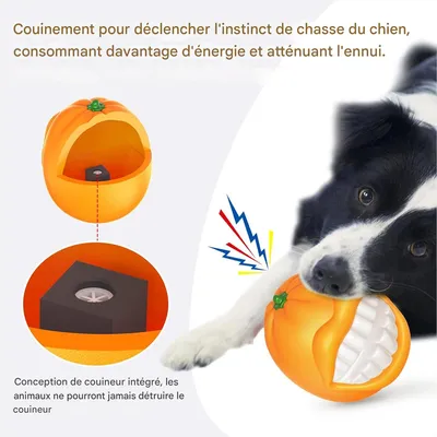 Rocky Jouet grinçant pour chien
