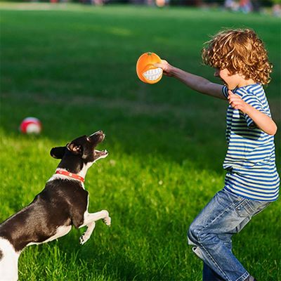 Rocky Jouet grinçant pour chien