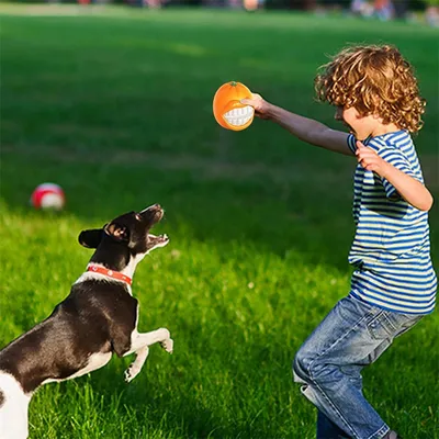 Rocky Jouet grinçant pour chien
