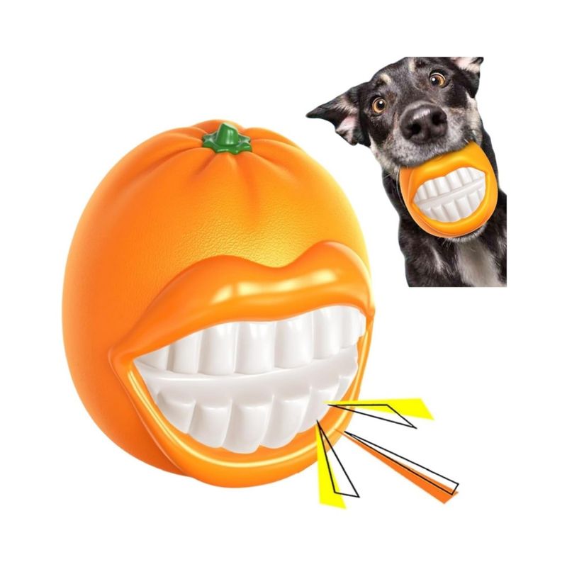 Rocky Jouet grinçant pour chien