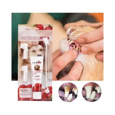 Zoomtopia Coffret d'hygiène bucco - dentaire pour chien et chat