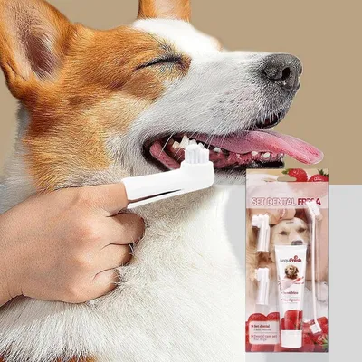 Zoomtopia Coffret d'hygiène bucco - dentaire pour chien et chat