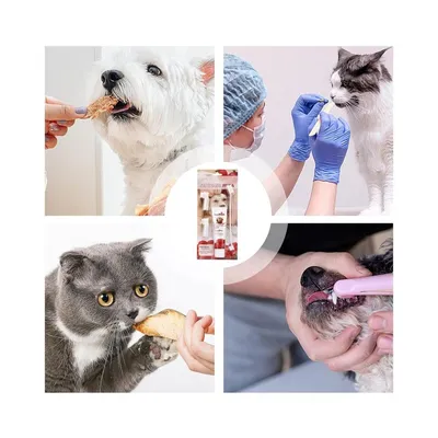 Zoomtopia Coffret d'hygiène bucco - dentaire pour chien et chat