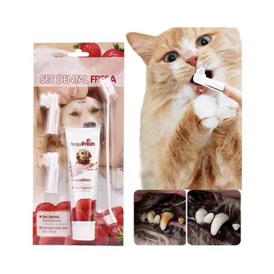 Zoomtopia Coffret d'hygiène bucco - dentaire pour chien et chat