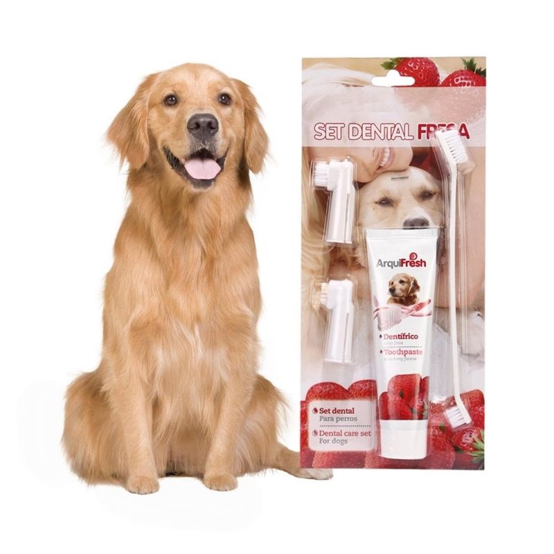 Zoomtopia Coffret d'hygiène bucco - dentaire pour chien et chat