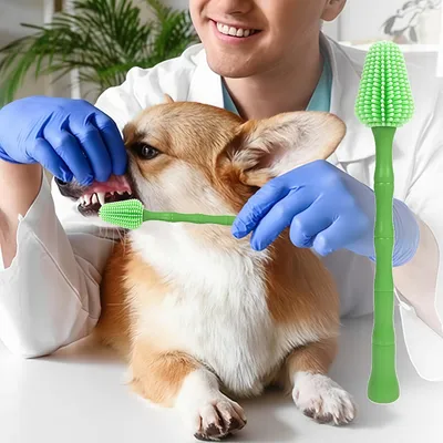 Zoomtopia Brosse à dents pour chiens