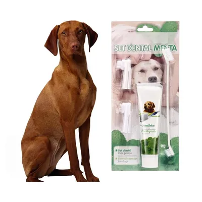 Zoomtopia Coffret d'hygiène bucco - dentaire pour chien et chat