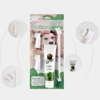 Zoomtopia Coffret d'hygiène bucco - dentaire pour chien et chat