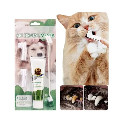 Zoomtopia Coffret d'hygiène bucco - dentaire pour chien et chat