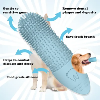 Zoomtopia Kit d'hygiène bucco - dentaire pour chien