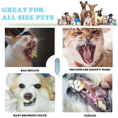 Zoomtopia Kit d'hygiène bucco - dentaire pour chien