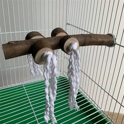 Rocky Perchoir en bois naturel pour oiseaux