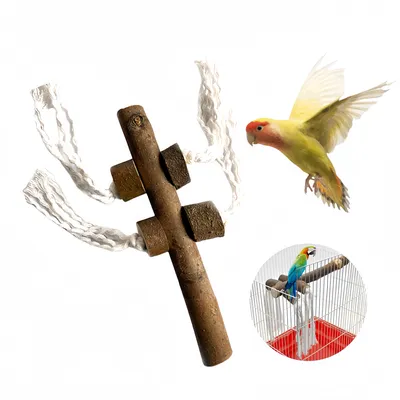 Rocky Perchoir en bois naturel pour oiseaux