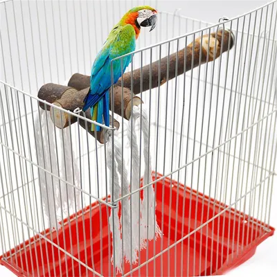 Rocky Perchoir en bois naturel pour oiseaux