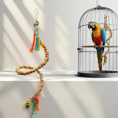 Rocky Corde d'escalade en coton colorée pour perroquet