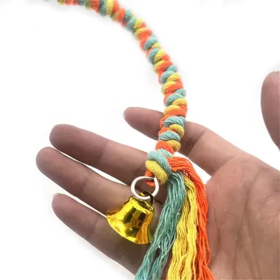 Rocky Corde d'escalade en coton colorée pour perroquet