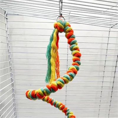 Rocky Corde d'escalade en coton colorée pour perroquet