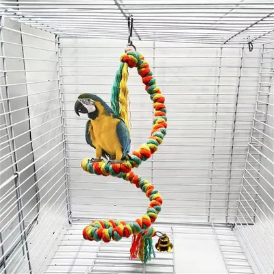 Rocky Corde d'escalade en coton colorée pour perroquet