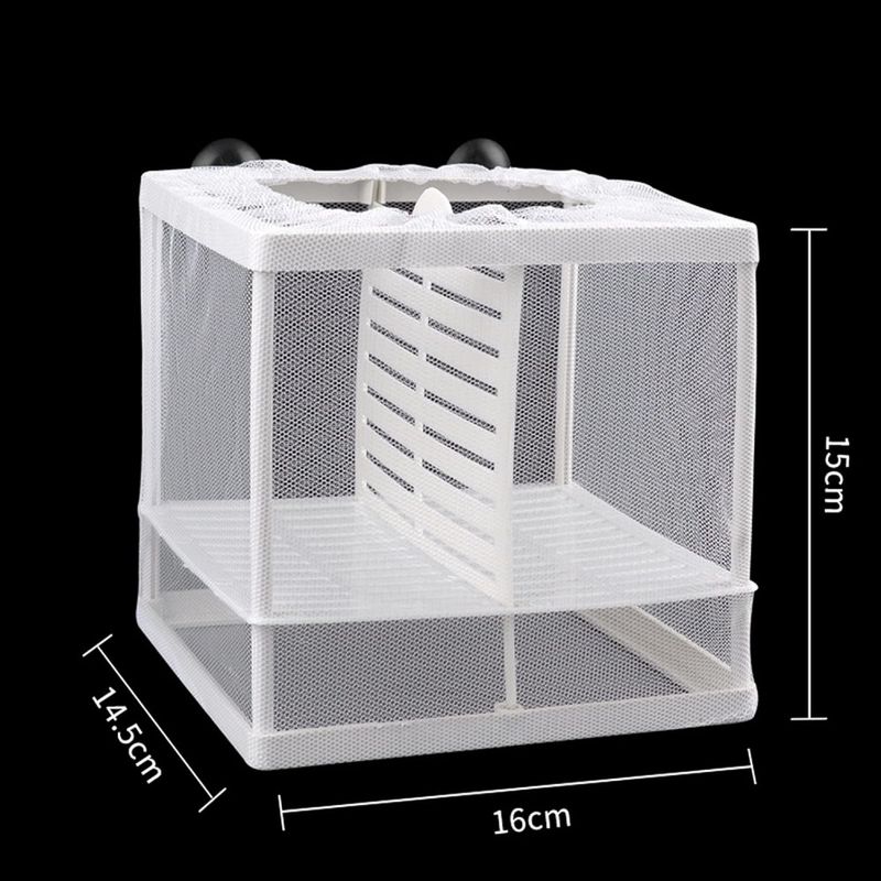ZooVenture Boîte de frai pour aquariums