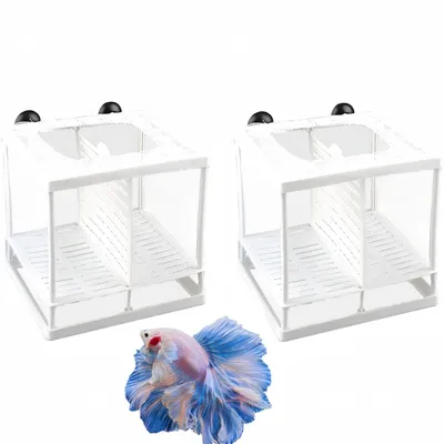 ZooVenture Boîte de frai pour aquariums