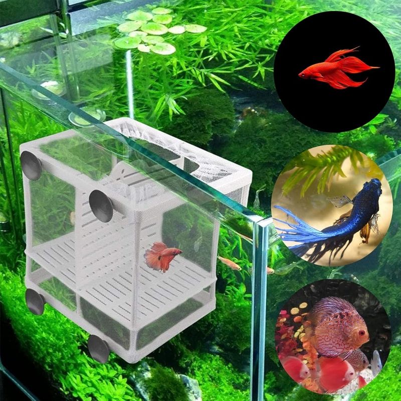 ZooVenture Boîte de frai pour aquariums