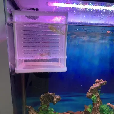 ZooVenture Boîte d'élevage pour aquarium