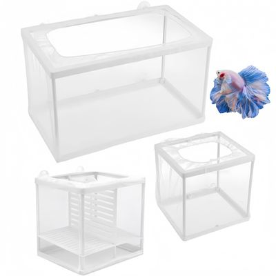 ZooVenture Boîte d'élevage pour aquarium