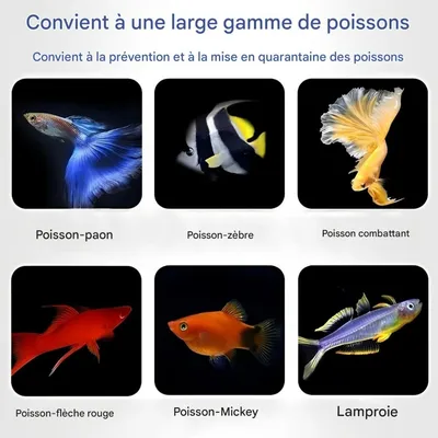 ZooVenture Boîte d'élevage pour aquarium