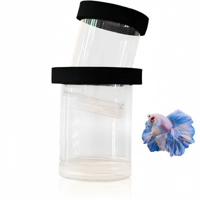 ZooVenture Boîte d'élevage pour aquarium