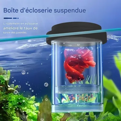 ZooVenture Boîte d'élevage pour aquarium