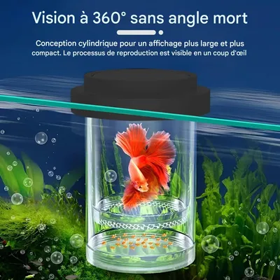 ZooVenture Boîte d'élevage pour aquarium