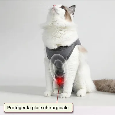 ZooVenture Traje de recuperación postoperatoria para gatos