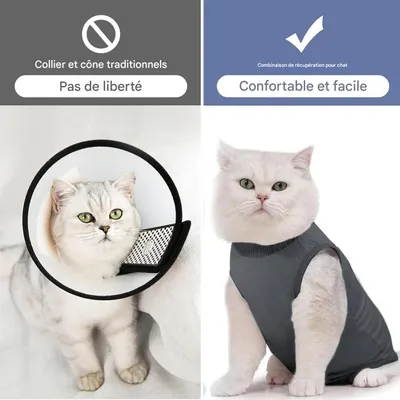 ZooVenture Traje de recuperación postoperatoria para gatos