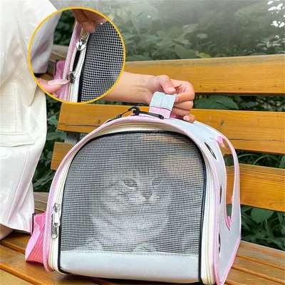 Rocky Cage pour chat et petit chien