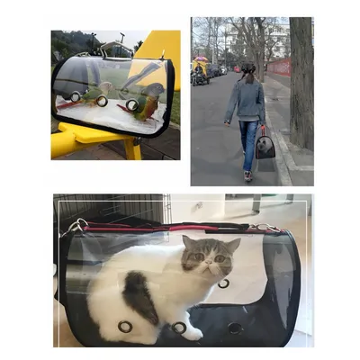 Rocky Sac pour chat portable et pliable