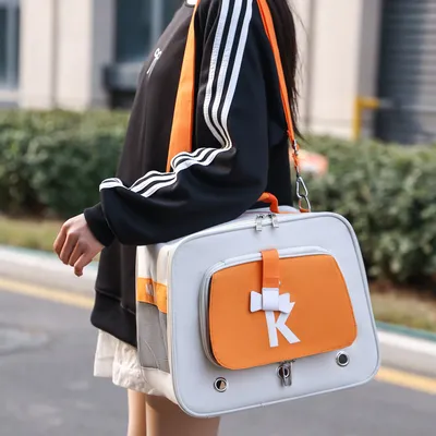 Rocky Sac pour animaux de compagnie