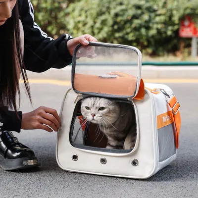 Rocky Sac pour animaux de compagnie