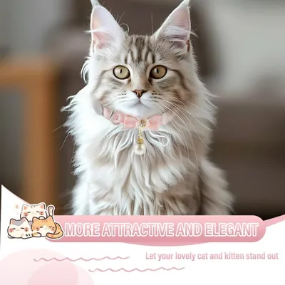 Zoomtopia Collier élégant pour chat