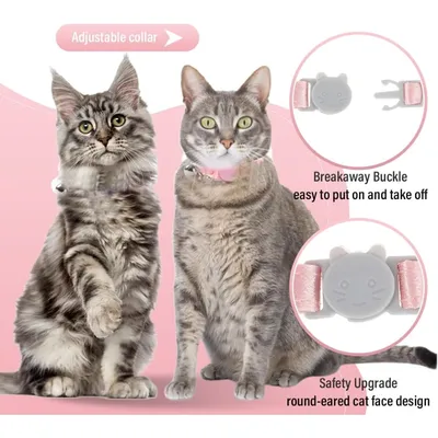 Zoomtopia Collier élégant pour chat