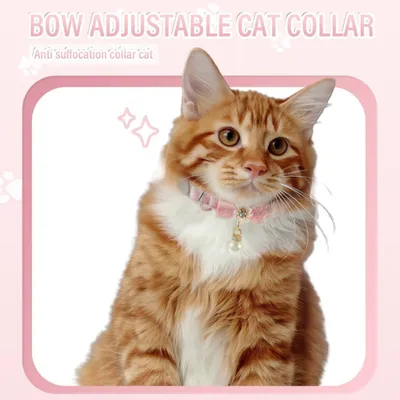 Zoomtopia Collier élégant pour chat