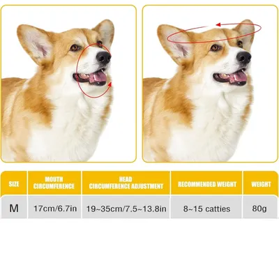 Zoomtopia Muselière en silicone pour chien